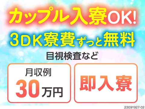 ■カップル・家族と一緒に生活♪しかも寮費無料！月収例30万円の目視検査！入社特典最大90万円！