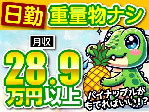 日勤×土日休みでも月収28万円以上！