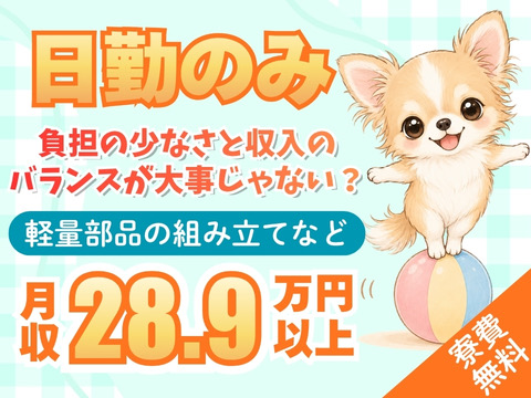 日勤×土日休みでも月収28万円以上！
