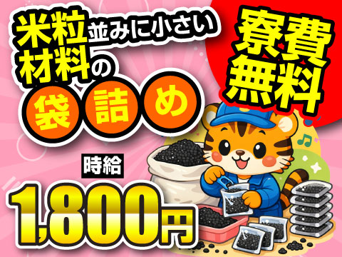 若手が多数活躍中の職場！