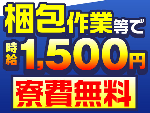 若手が多数活躍中の職場！
