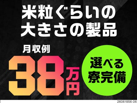 軽作業でも高収入！